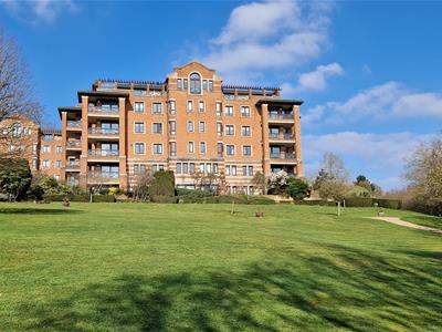 Picture 25